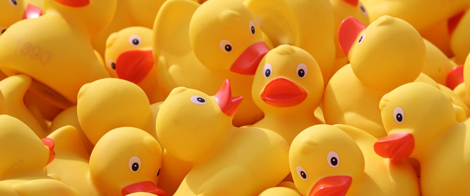 Themenvorschläge zur Vollversammlung gesucht